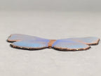 Japanese Cloisonne Ornament Display Vtg Butterfly Shippo Blue Gold JK66