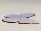 Japanese Cloisonne Ornament Display Vtg Butterfly Shippo Blue Gold JK66