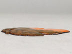 Japanese Cloisonne Ornament Display Vtg Shippo Autumn Leaf Gold Brown JK68
