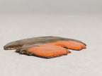 Japanese Cloisonne Ornament Display Vtg Shippo Autumn Leaf Gold Brown JK68