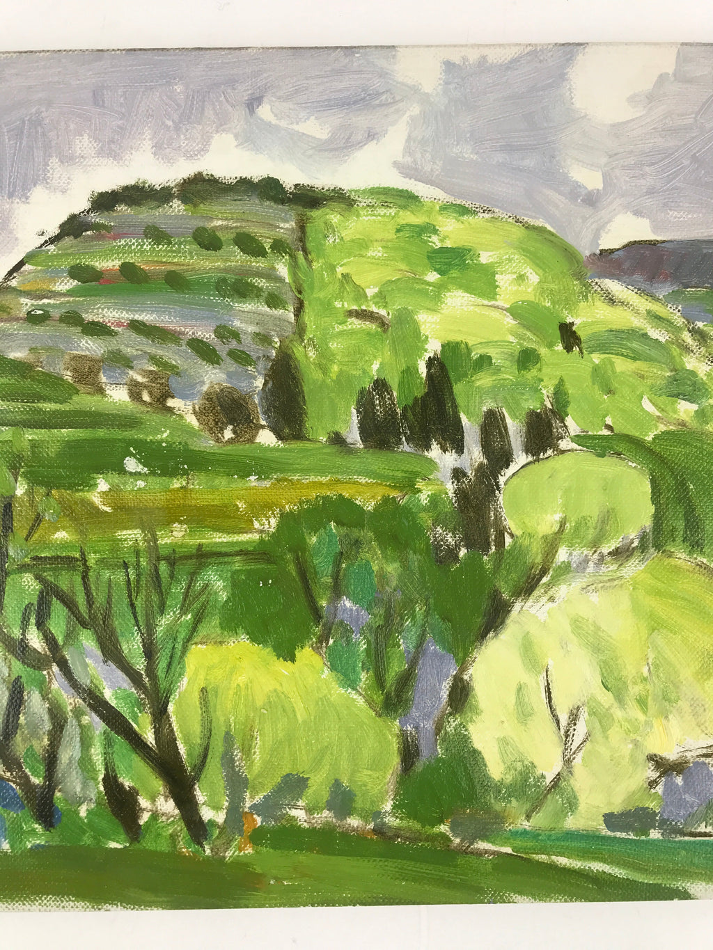 Japanese Countryside Mountain Oil Painting Landscape Original Unsigned FL162