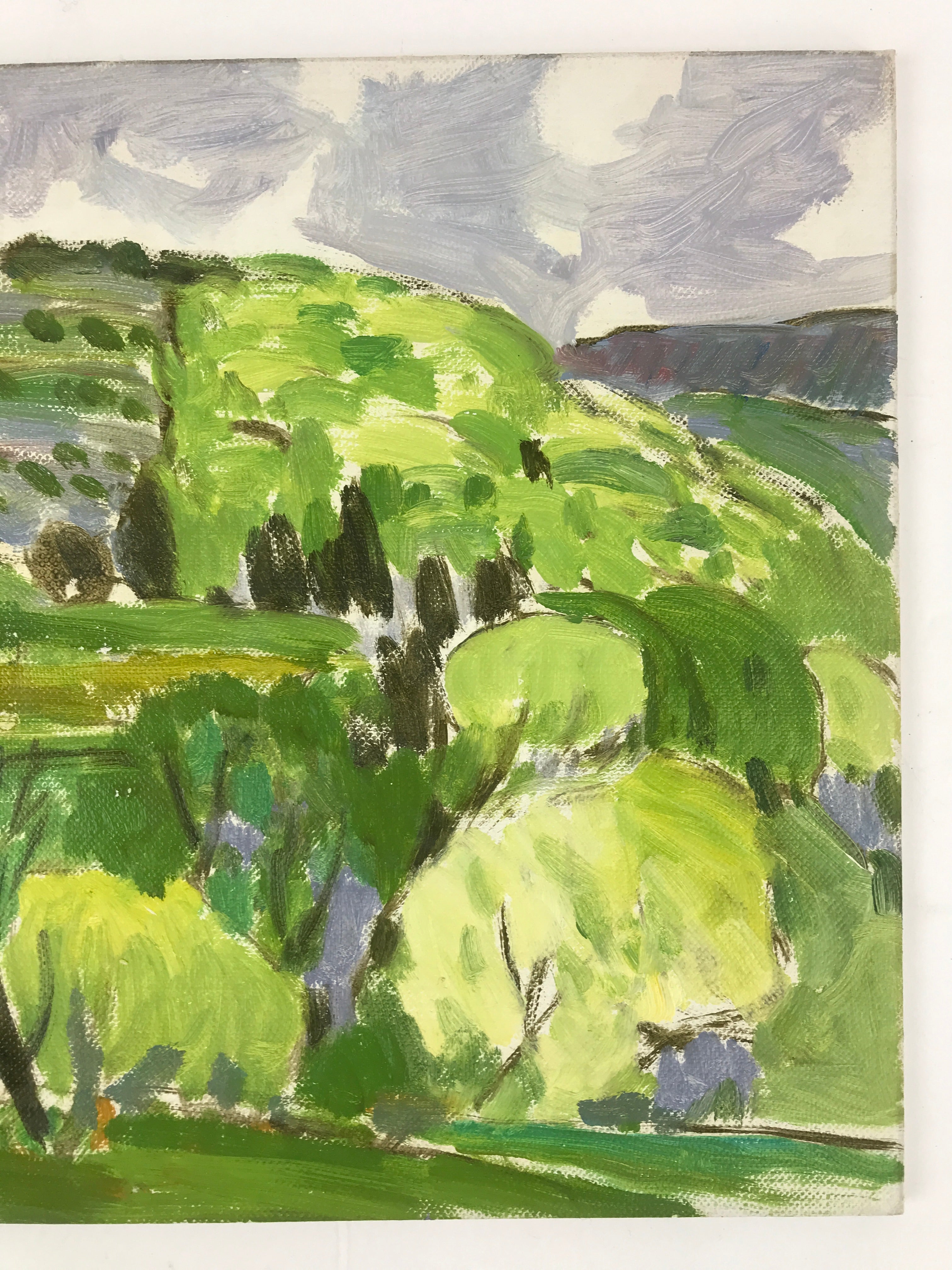 Japanese Countryside Mountain Oil Painting Landscape Original Unsigned FL162