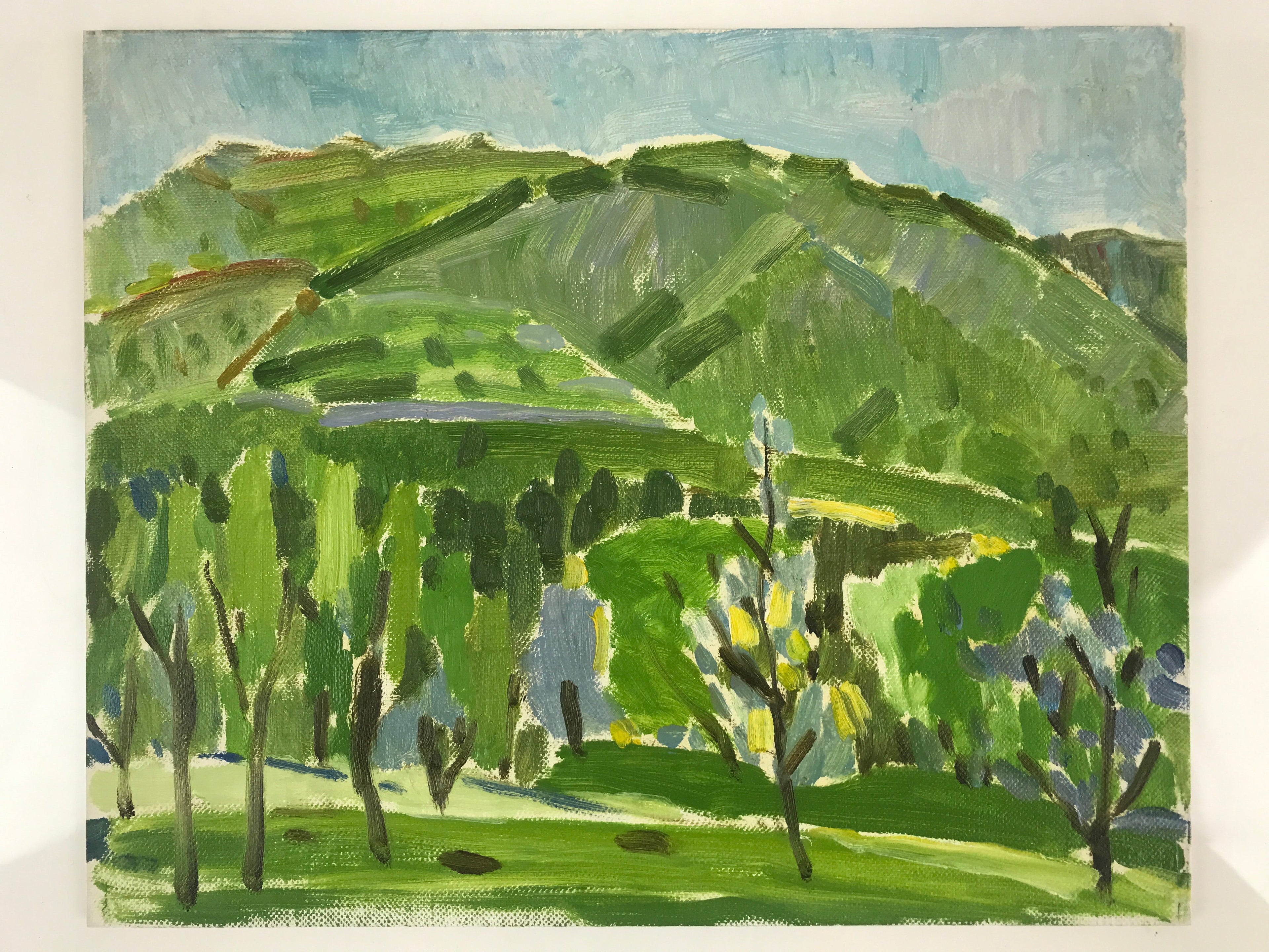 Japanese Countryside Mountain Oil Painting Landscape Original Unsigned FL163