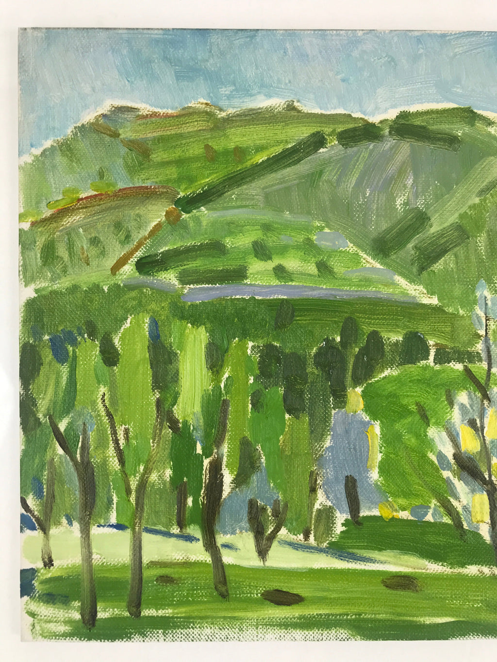 Japanese Countryside Mountain Oil Painting Landscape Original Unsigned FL163