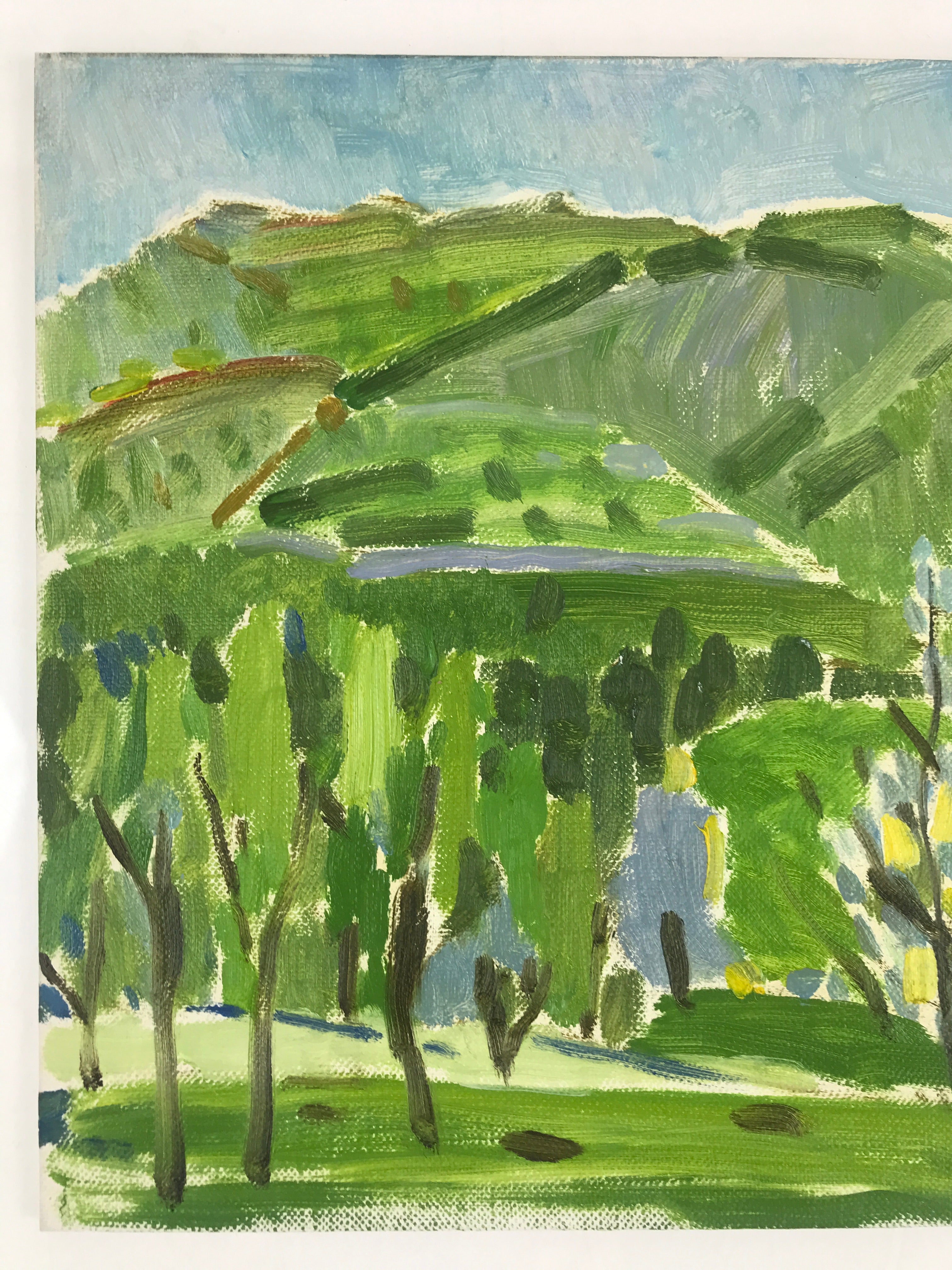 Japanese Countryside Mountain Oil Painting Landscape Original Unsigned FL163