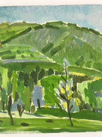 Japanese Countryside Mountain Oil Painting Landscape Original Unsigned FL163