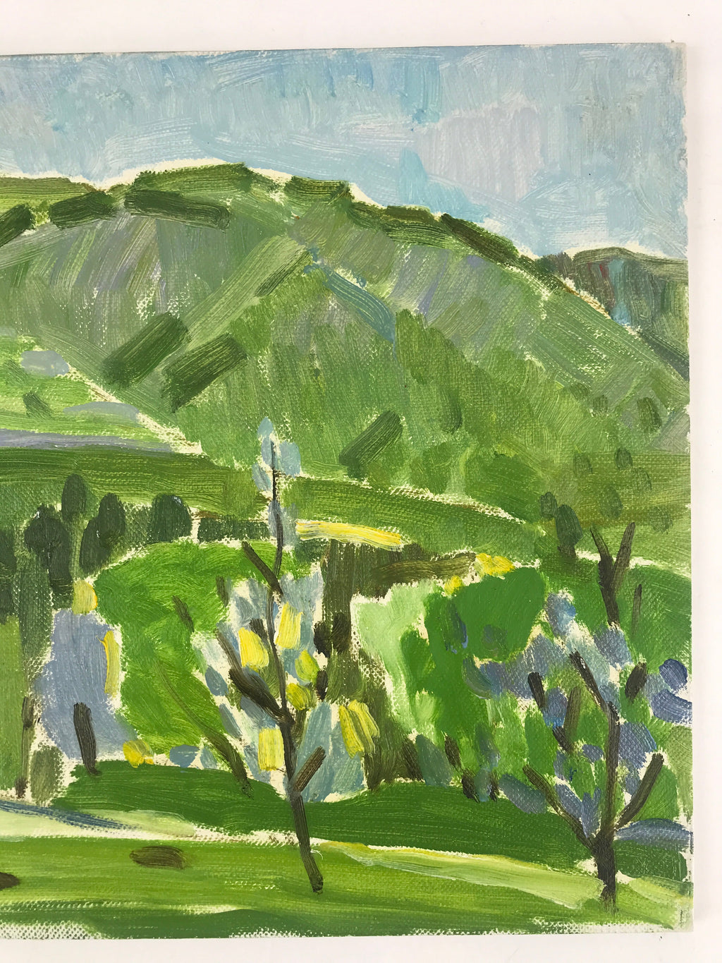 Japanese Countryside Mountain Oil Painting Landscape Original Unsigned FL163