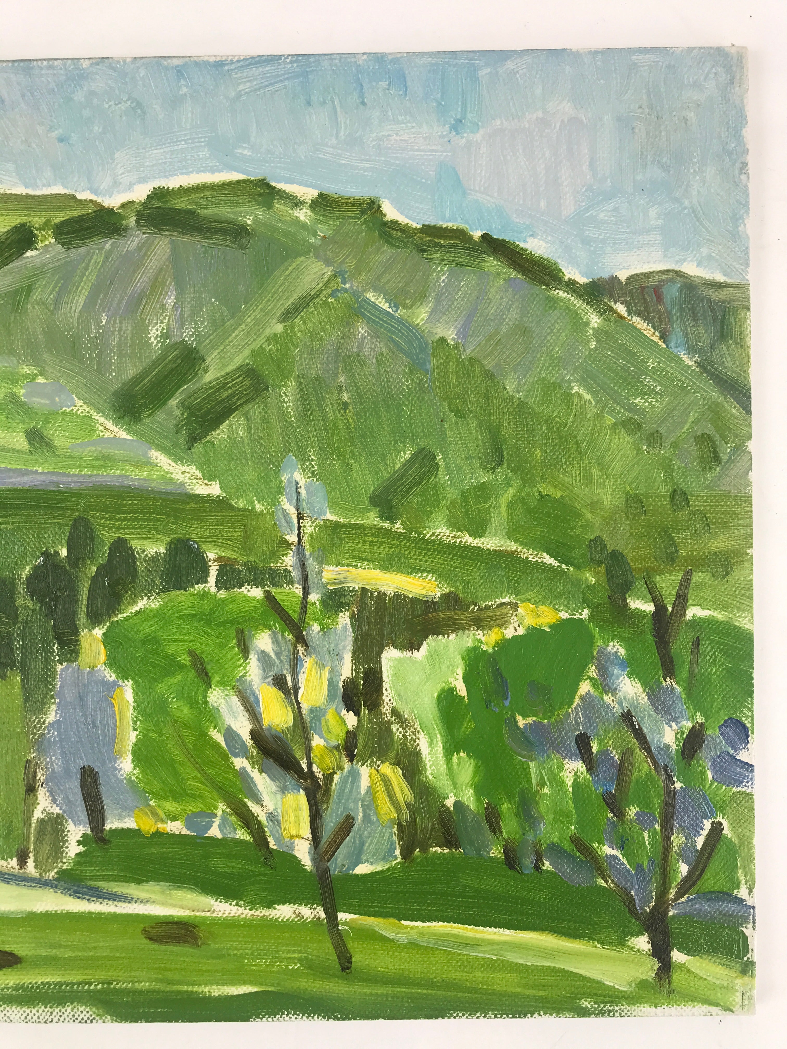 Japanese Countryside Mountain Oil Painting Landscape Original Unsigned FL163