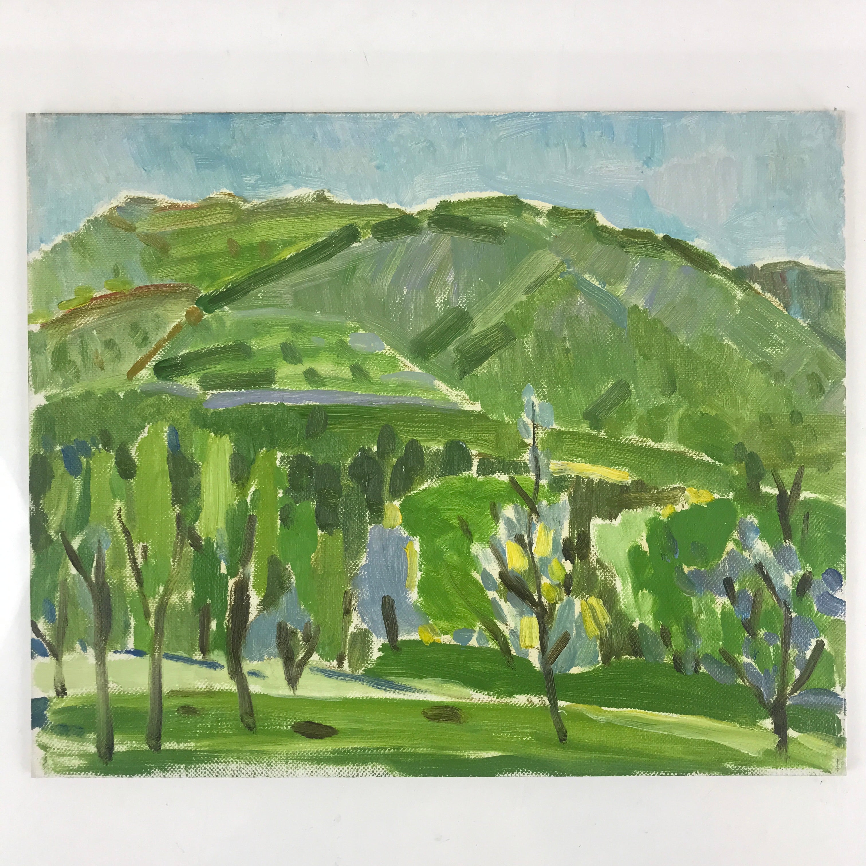 Japanese Countryside Mountain Oil Painting Landscape Original Unsigned FL163