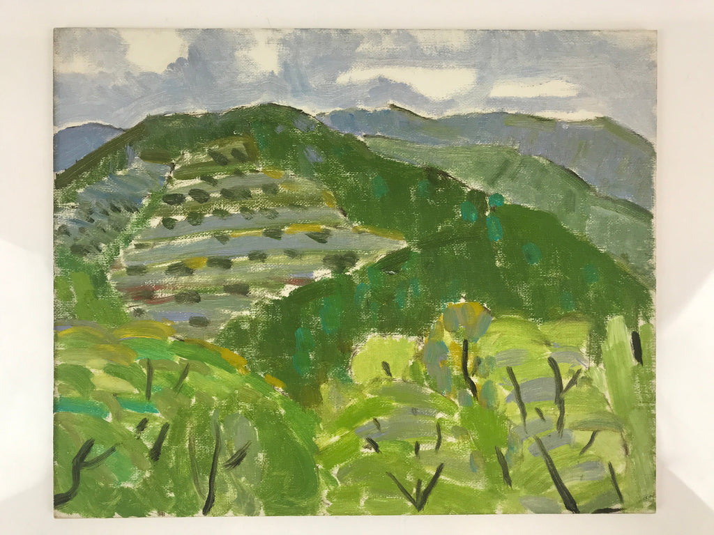 Japanese Countryside Mountain Oil Painting Landscape Original Unsigned FL164