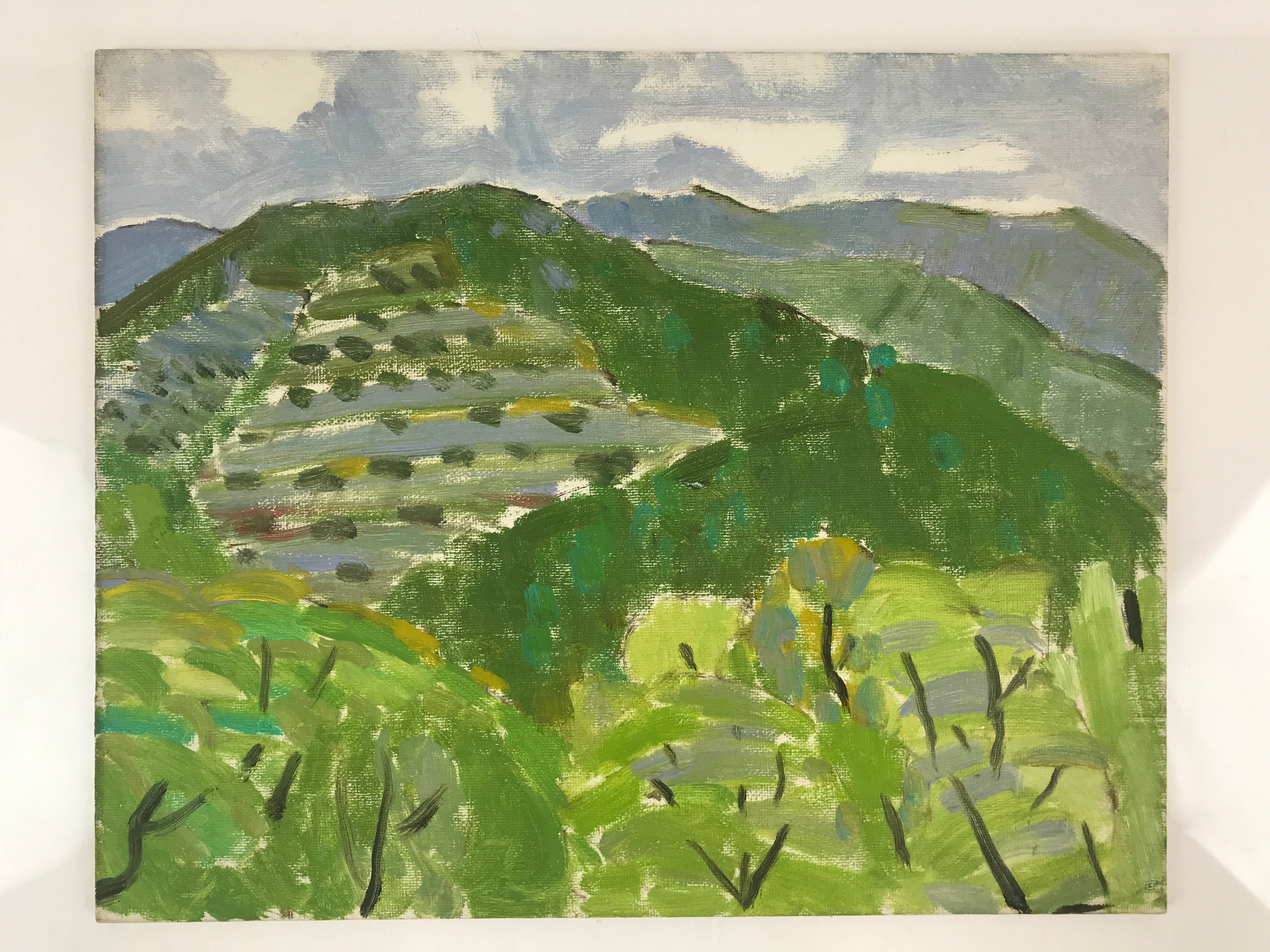 Japanese Countryside Mountain Oil Painting Landscape Original Unsigned FL164