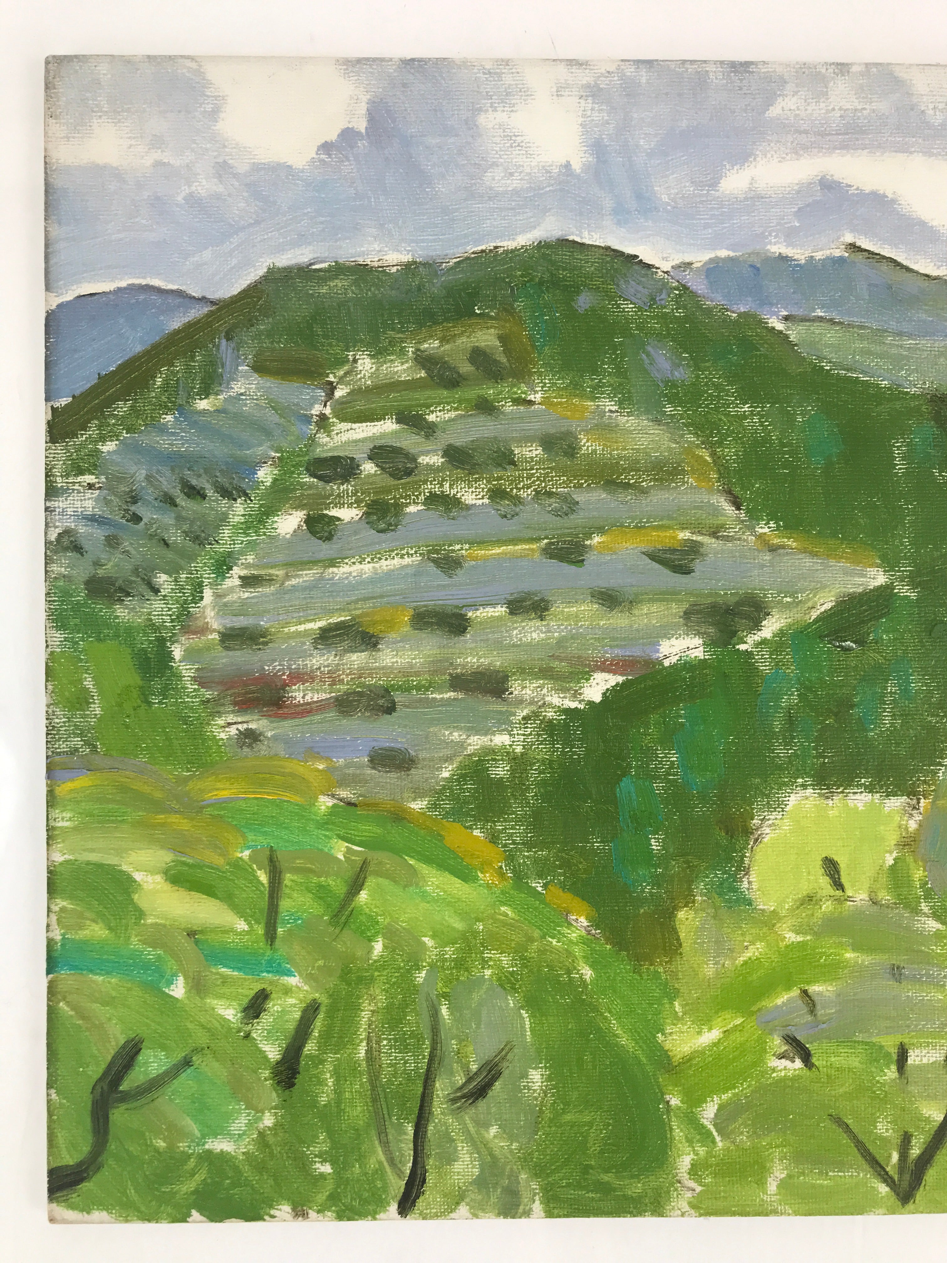 Japanese Countryside Mountain Oil Painting Landscape Original Unsigned FL164