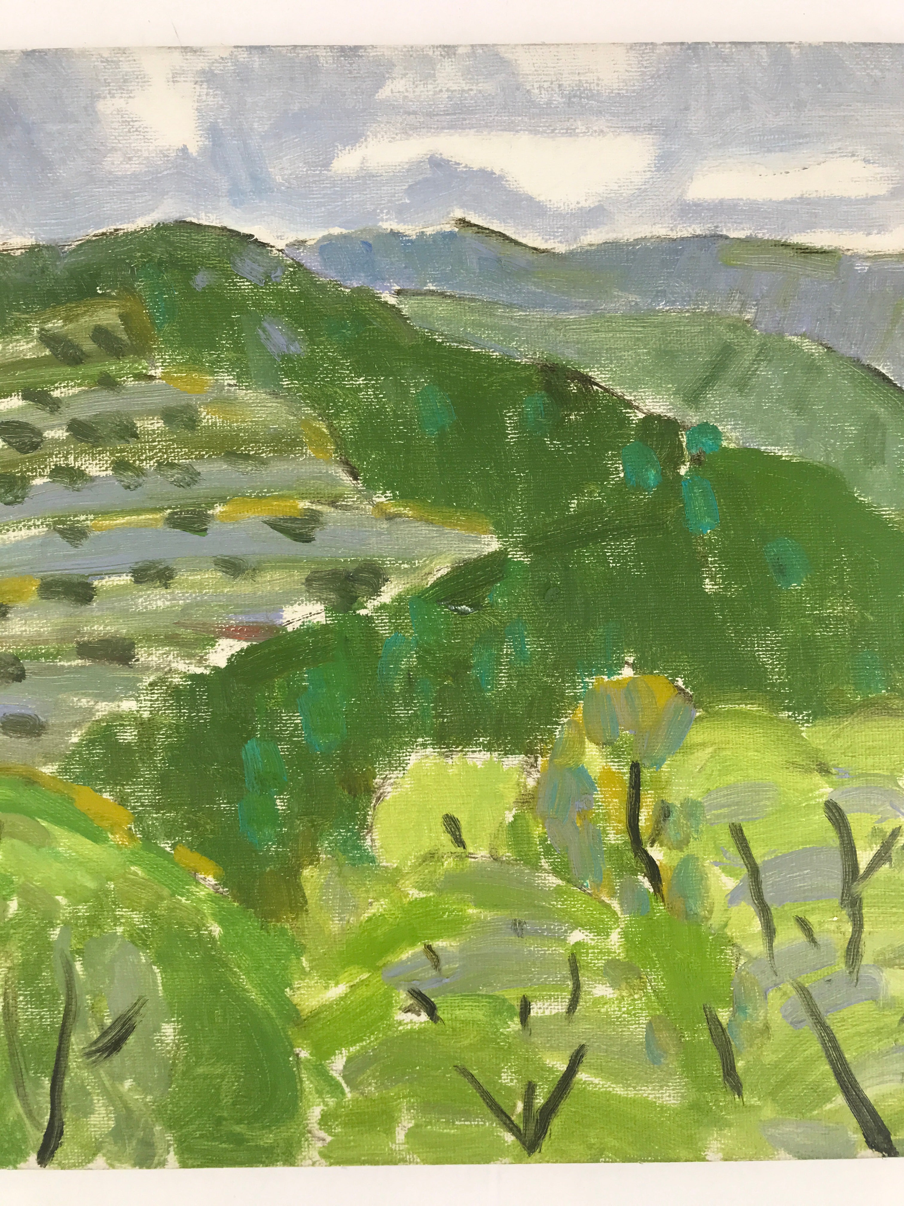 Japanese Countryside Mountain Oil Painting Landscape Original Unsigned FL164