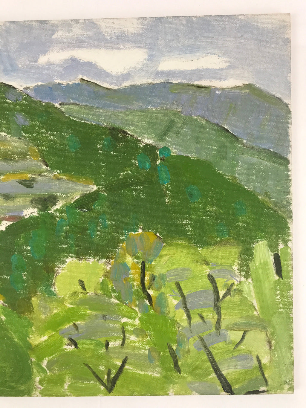 Japanese Countryside Mountain Oil Painting Landscape Original Unsigned FL164