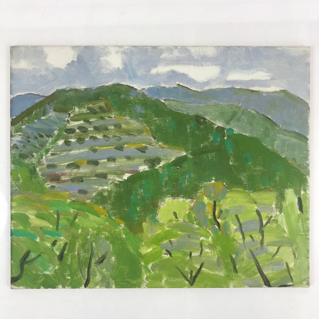 Japanese Countryside Mountain Oil Painting Landscape Original Unsigned FL164