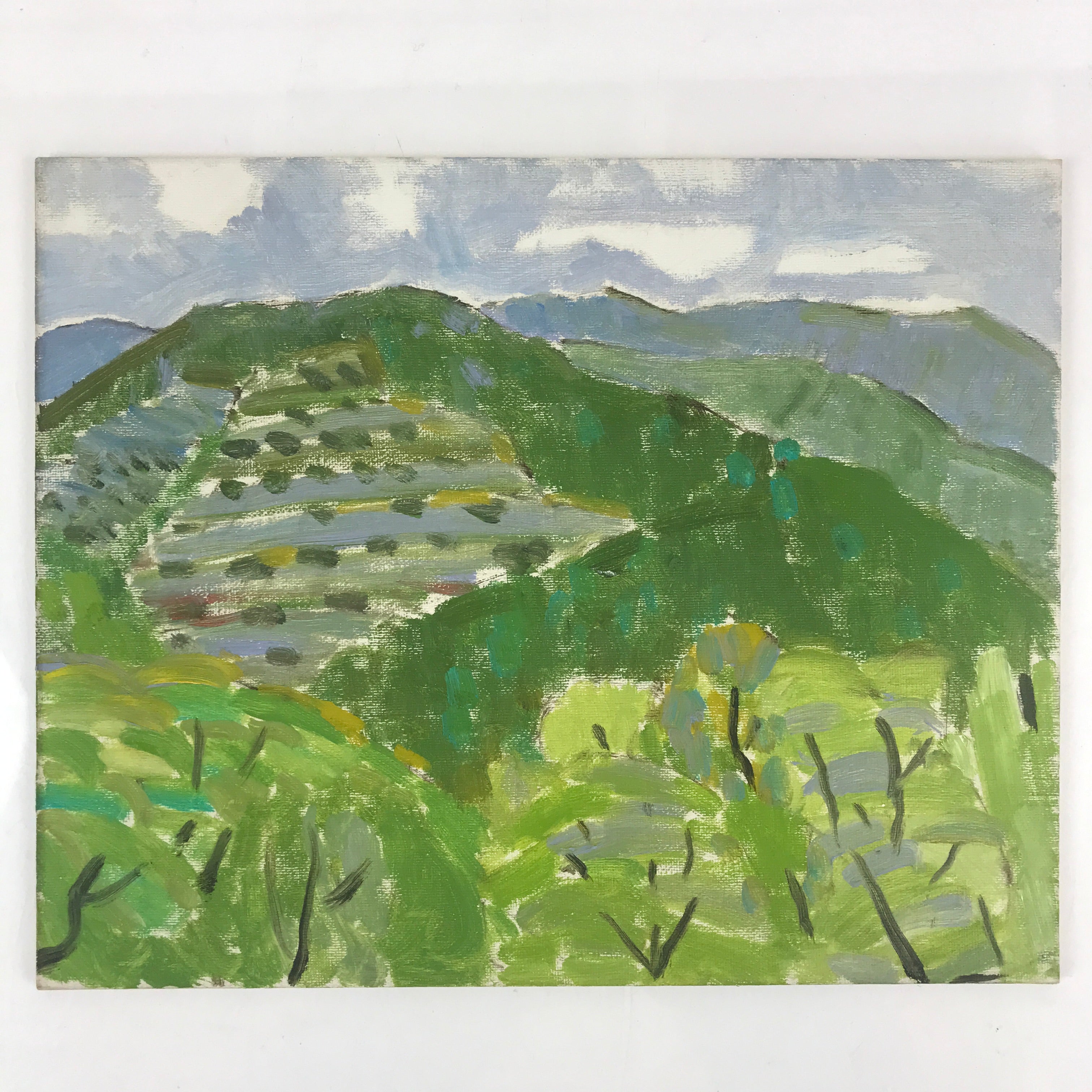 Japanese Countryside Mountain Oil Painting Landscape Original Unsigned FL164