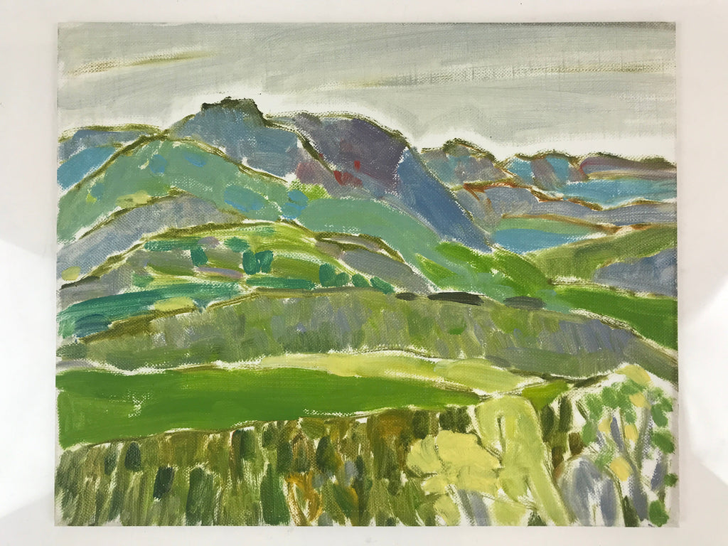 Japanese Countryside Mountain Oil Painting Landscape Original Unsigned FL174