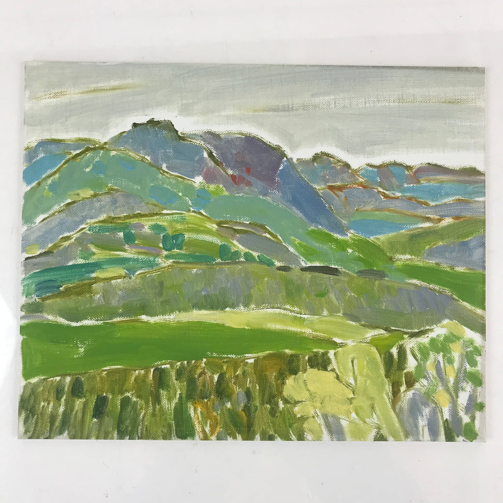 Japanese Countryside Mountain Oil Painting Landscape Original Unsigned FL174