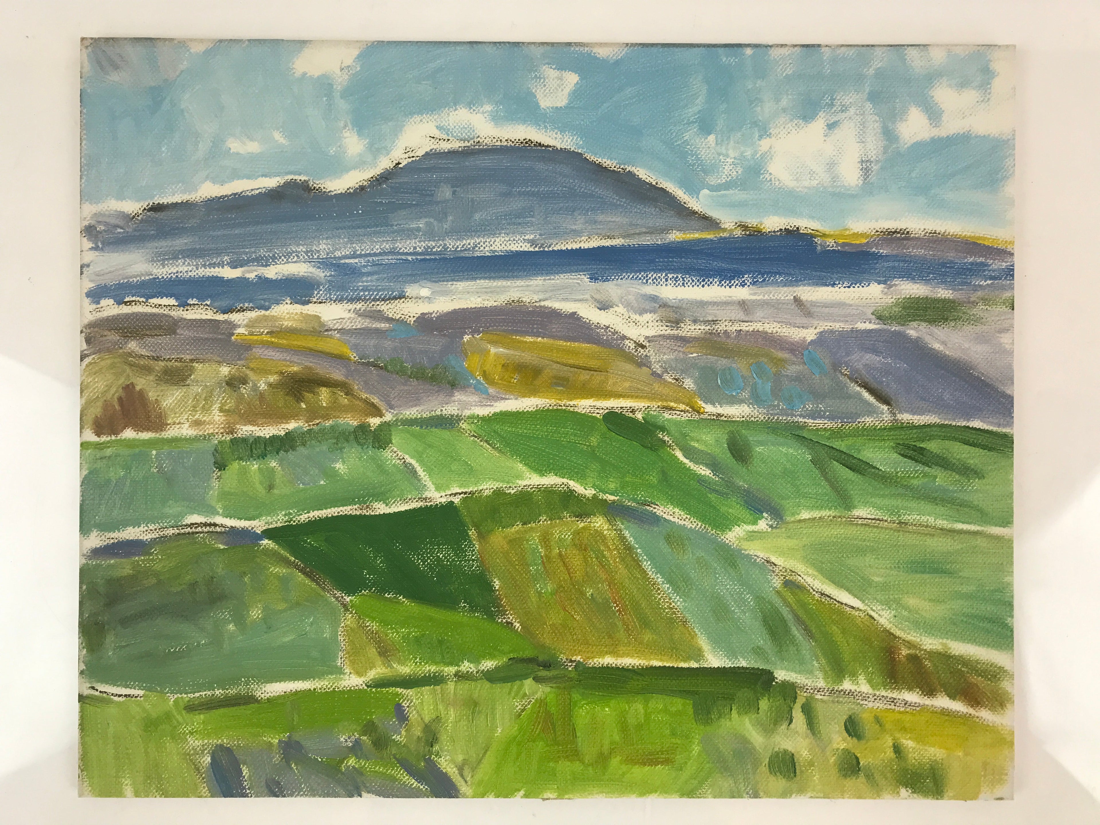 Japanese Countryside Mountain Oil Painting Landscape Original Unsigned FL175