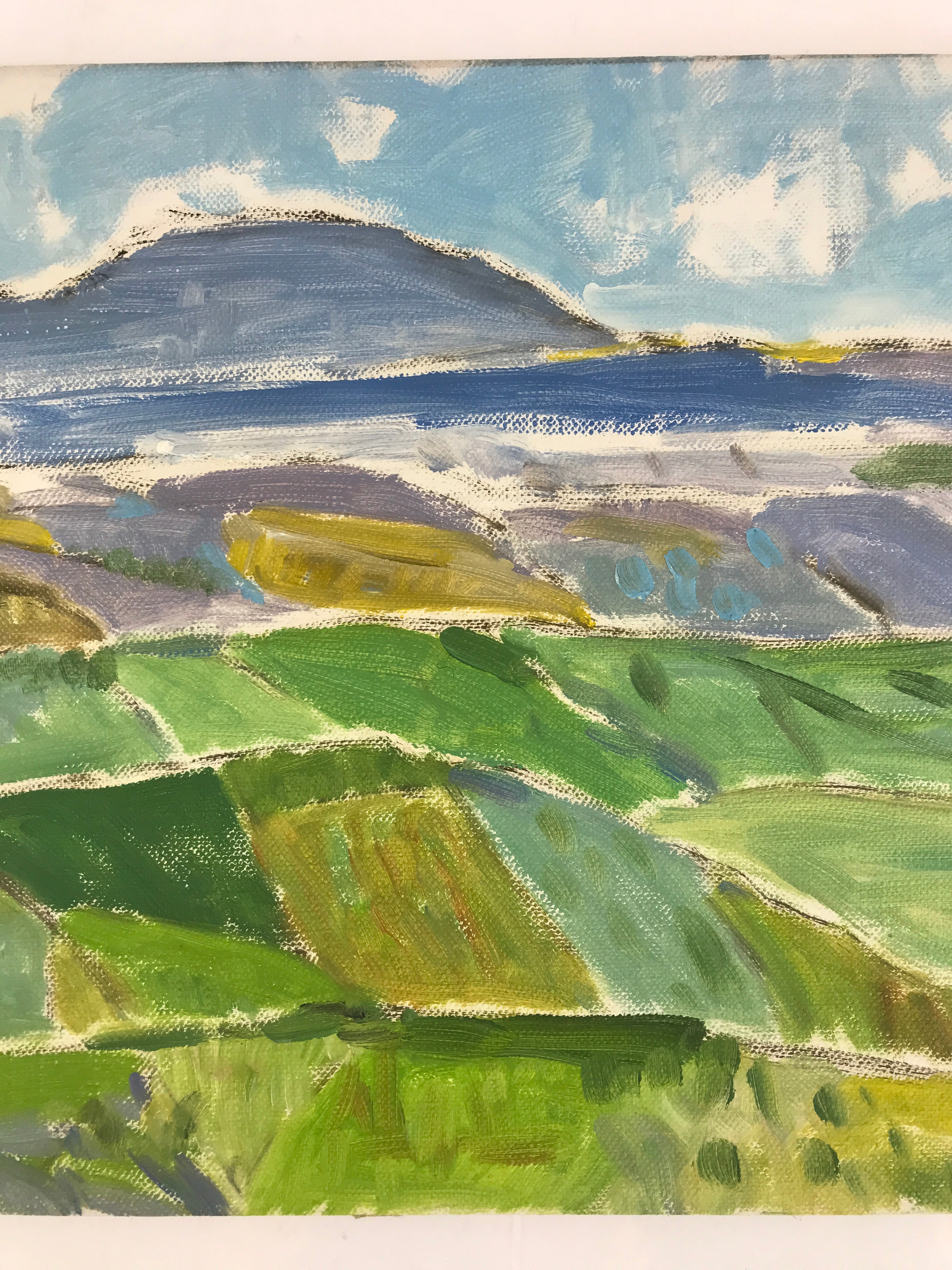 Japanese Countryside Mountain Oil Painting Landscape Original Unsigned FL175