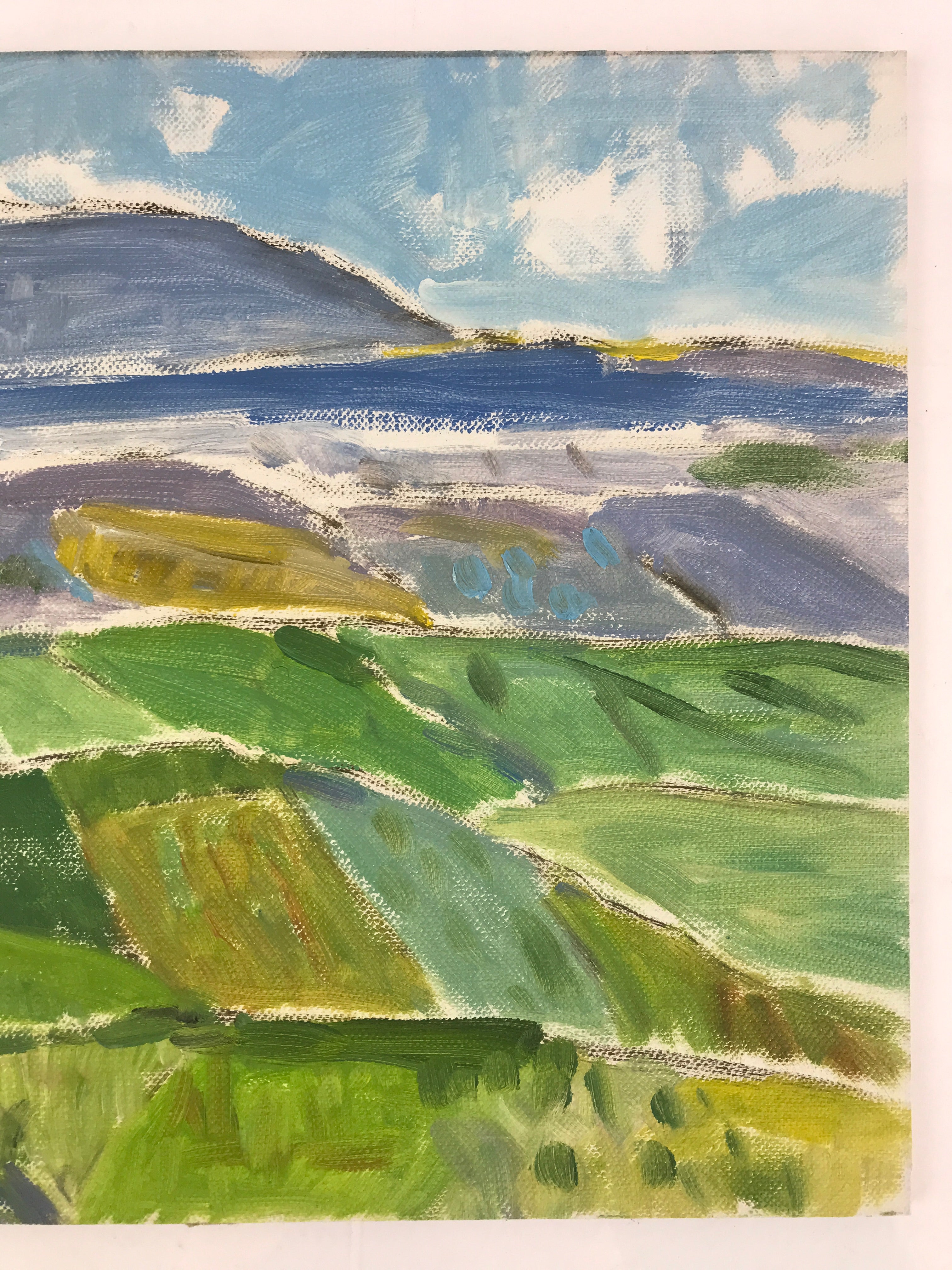 Japanese Countryside Mountain Oil Painting Landscape Original Unsigned FL175