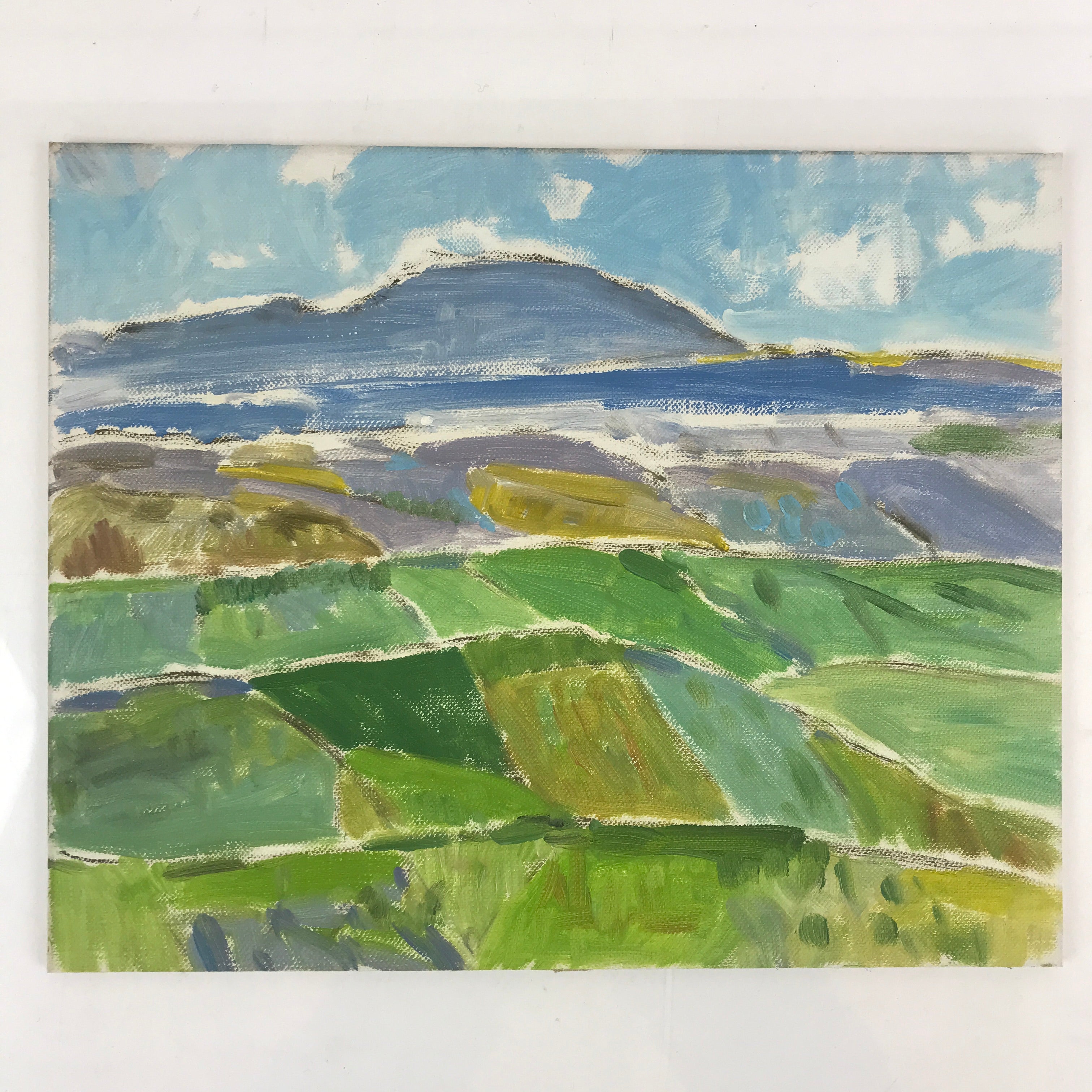 Japanese Countryside Mountain Oil Painting Landscape Original Unsigned FL175