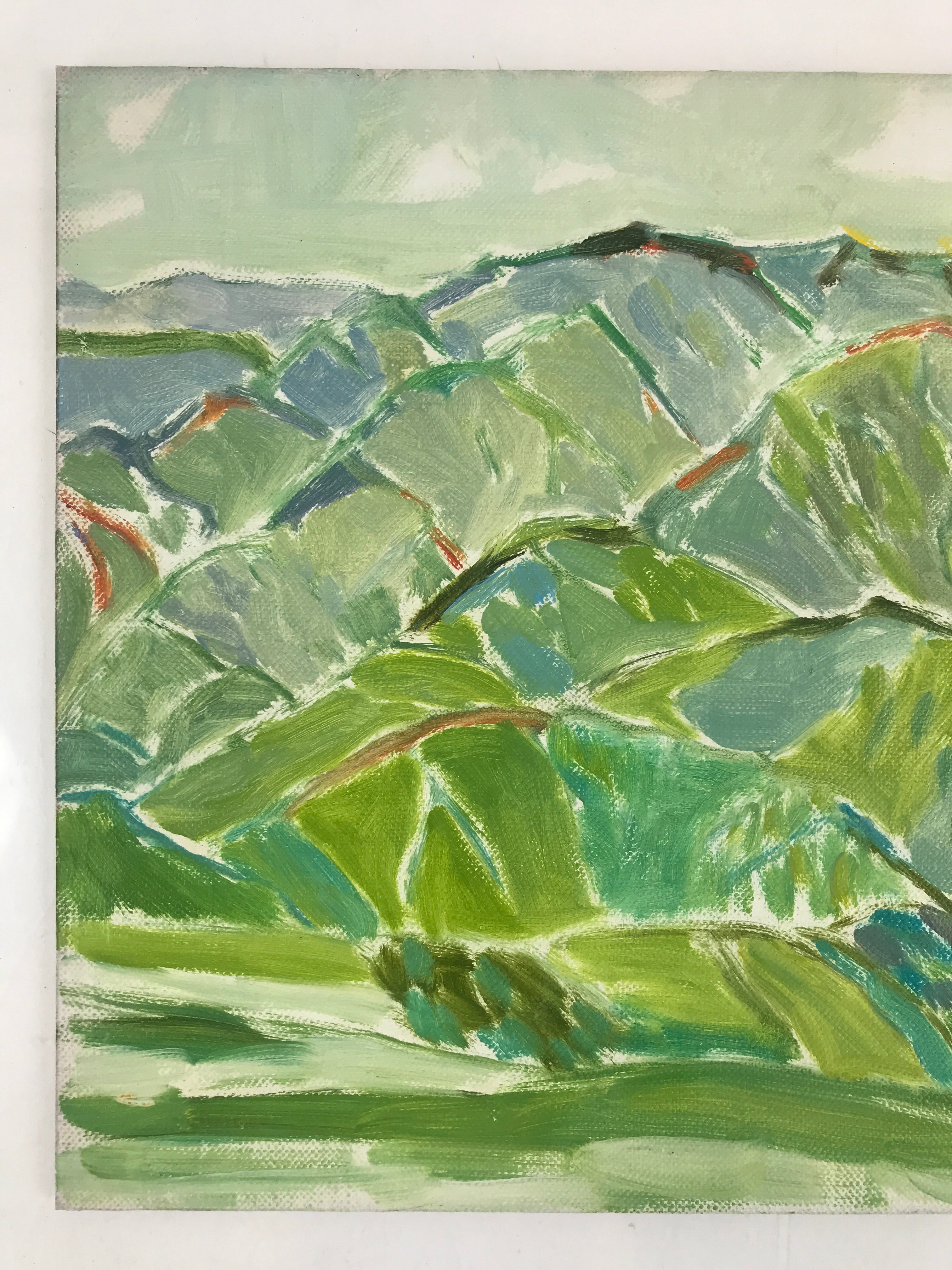 Japanese Countryside Mountain Oil Painting Landscape Original Unsigned FL177
