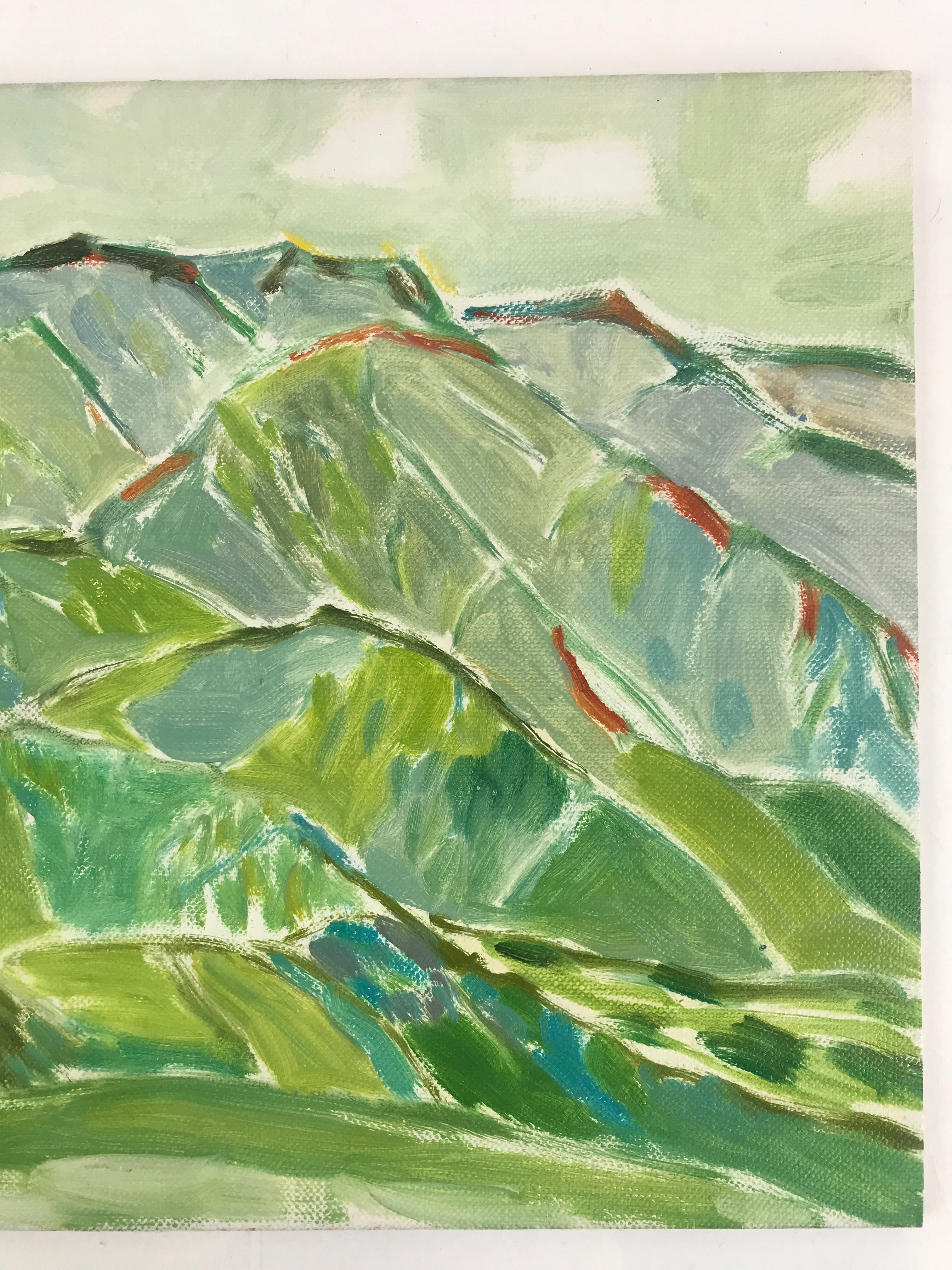 Japanese Countryside Mountain Oil Painting Landscape Original Unsigned FL177
