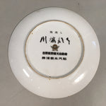Japanese Display Porcelain Plate Vtg Rafting River Splash Rock PP355