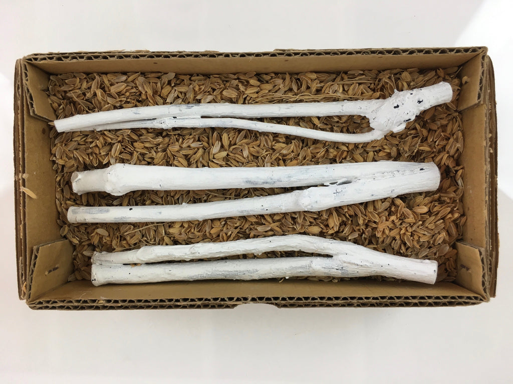 Japanese Edazumi Charcoal Tea Ceremony Vtg White Tea Utensils JK390