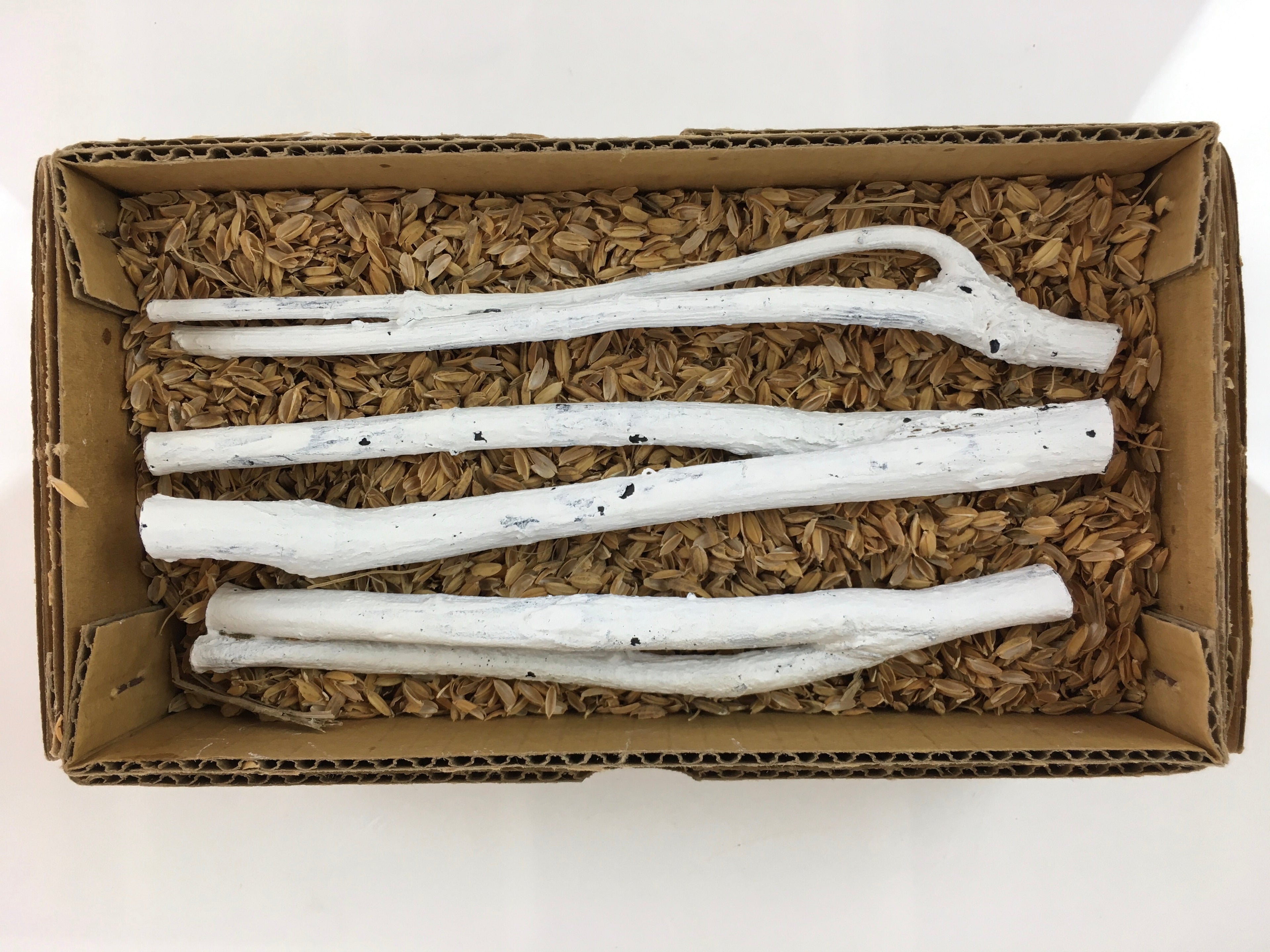 Japanese Edazumi Charcoal Tea Ceremony Vtg White Tea Utensils JK390