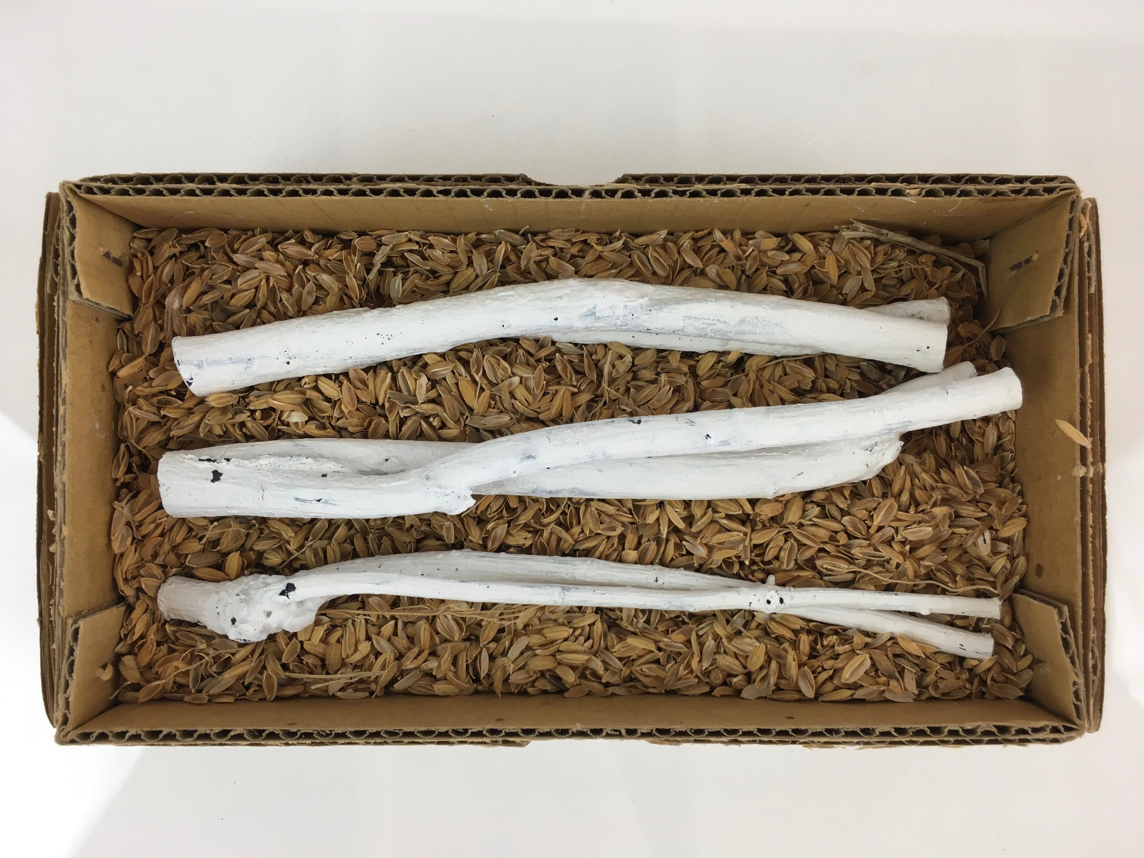 Japanese Edazumi Charcoal Tea Ceremony Vtg White Tea Utensils JK390