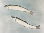 Japanese Fish Art painting Board Vtg Thick Paper Freshwater Trout A497
