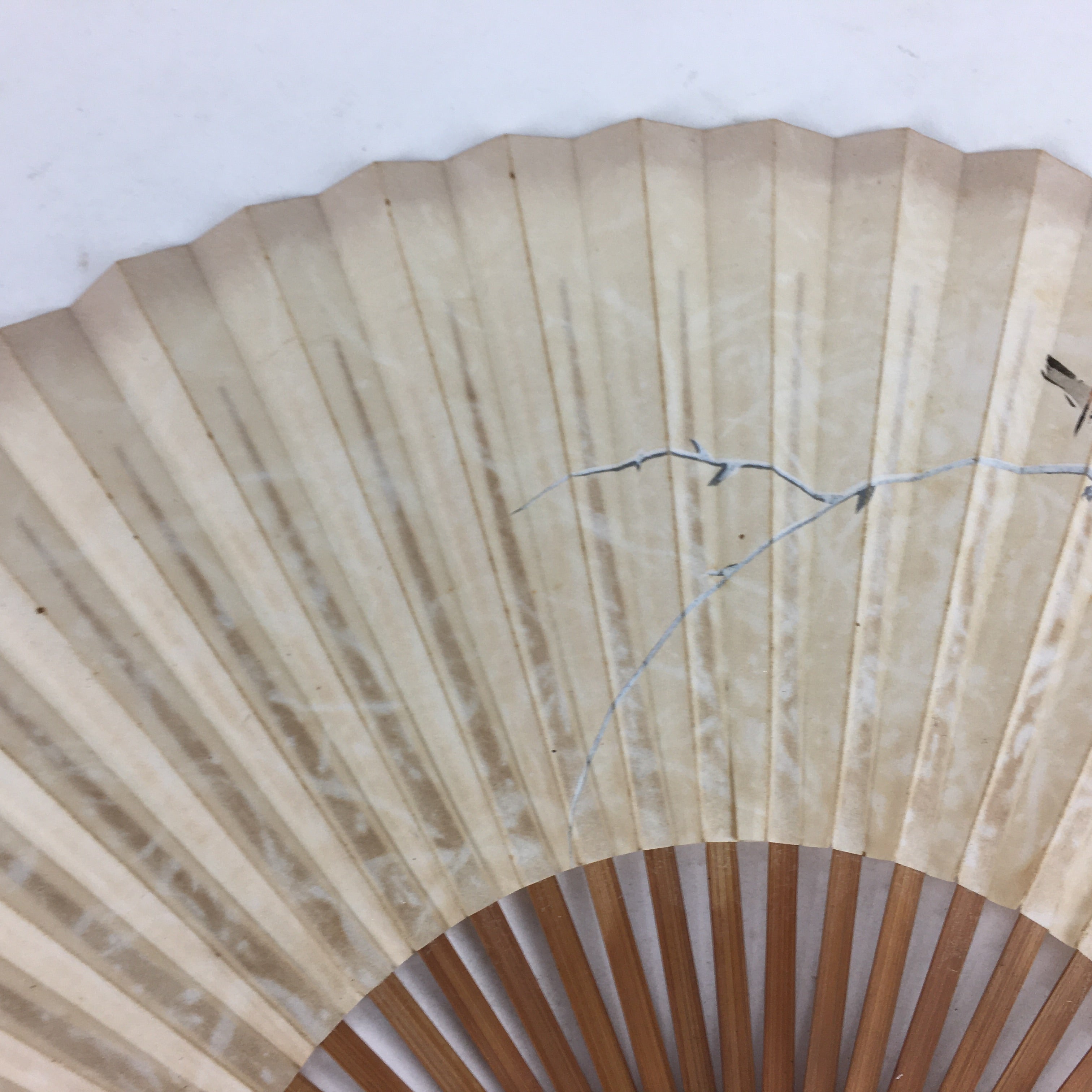Japanese Folding Fan Vtg Sensu Vtg Paper Bamboo Frame Sparrow 4D548