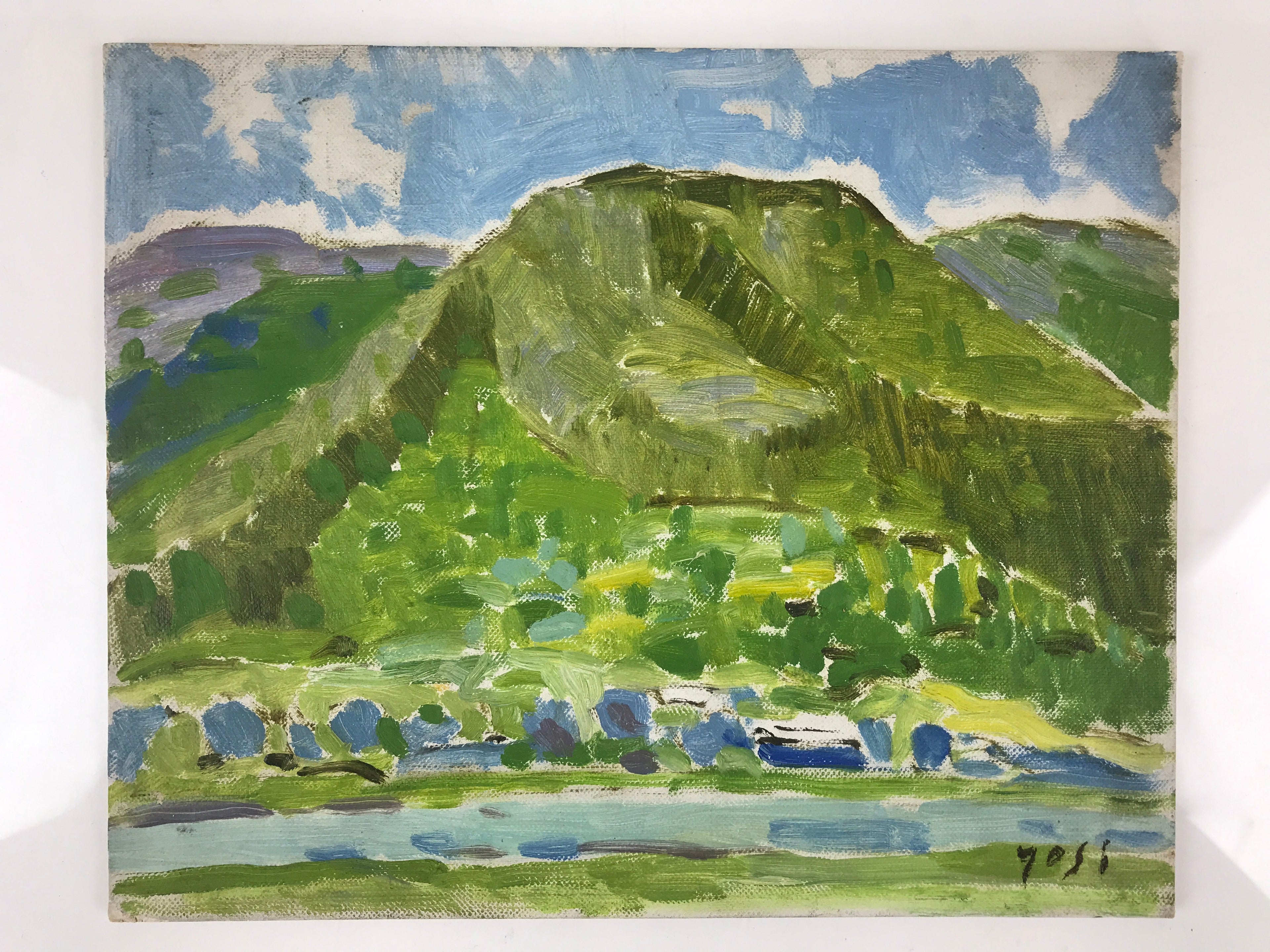 Japanese Forest Mountain Oil Painting Landscape Original Yoshihiro Hagino FL158
