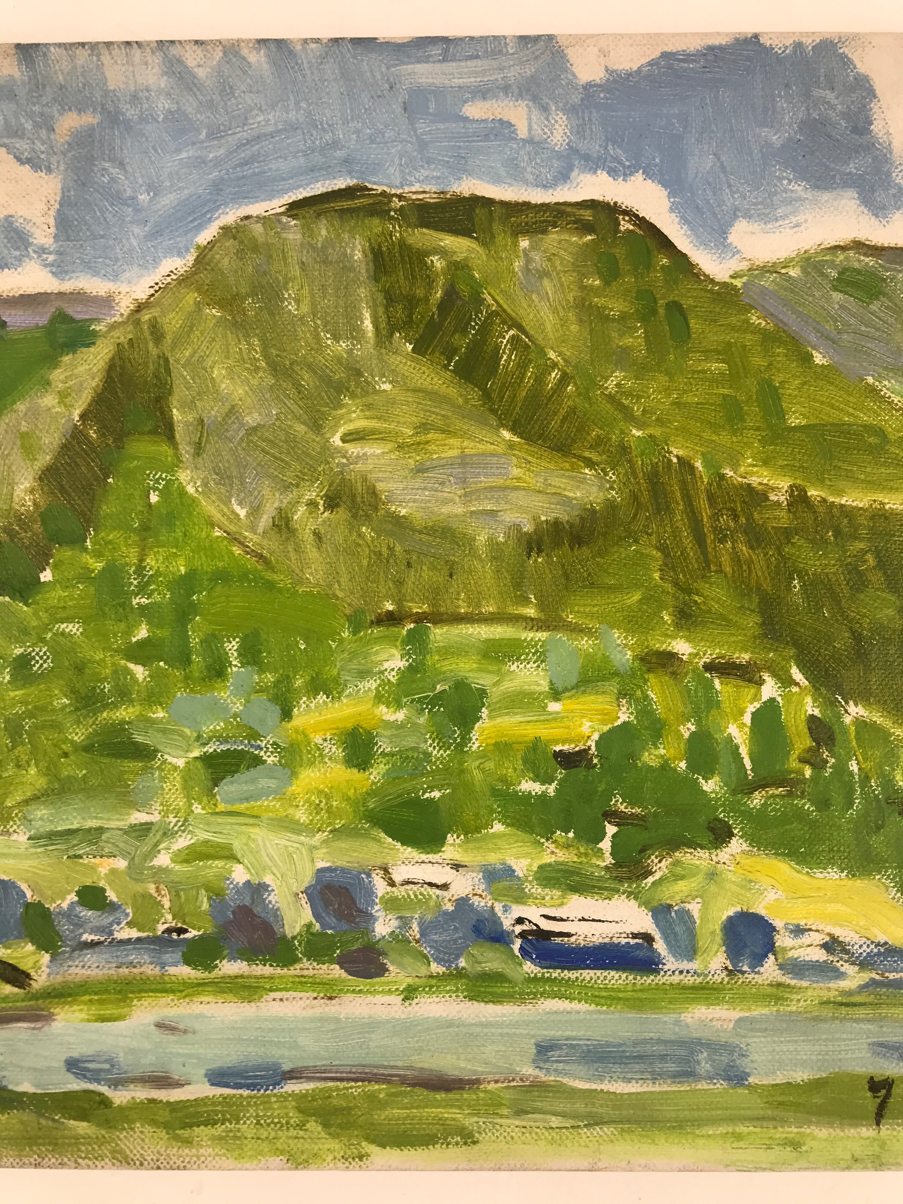 Japanese Forest Mountain Oil Painting Landscape Original Yoshihiro Hagino FL158