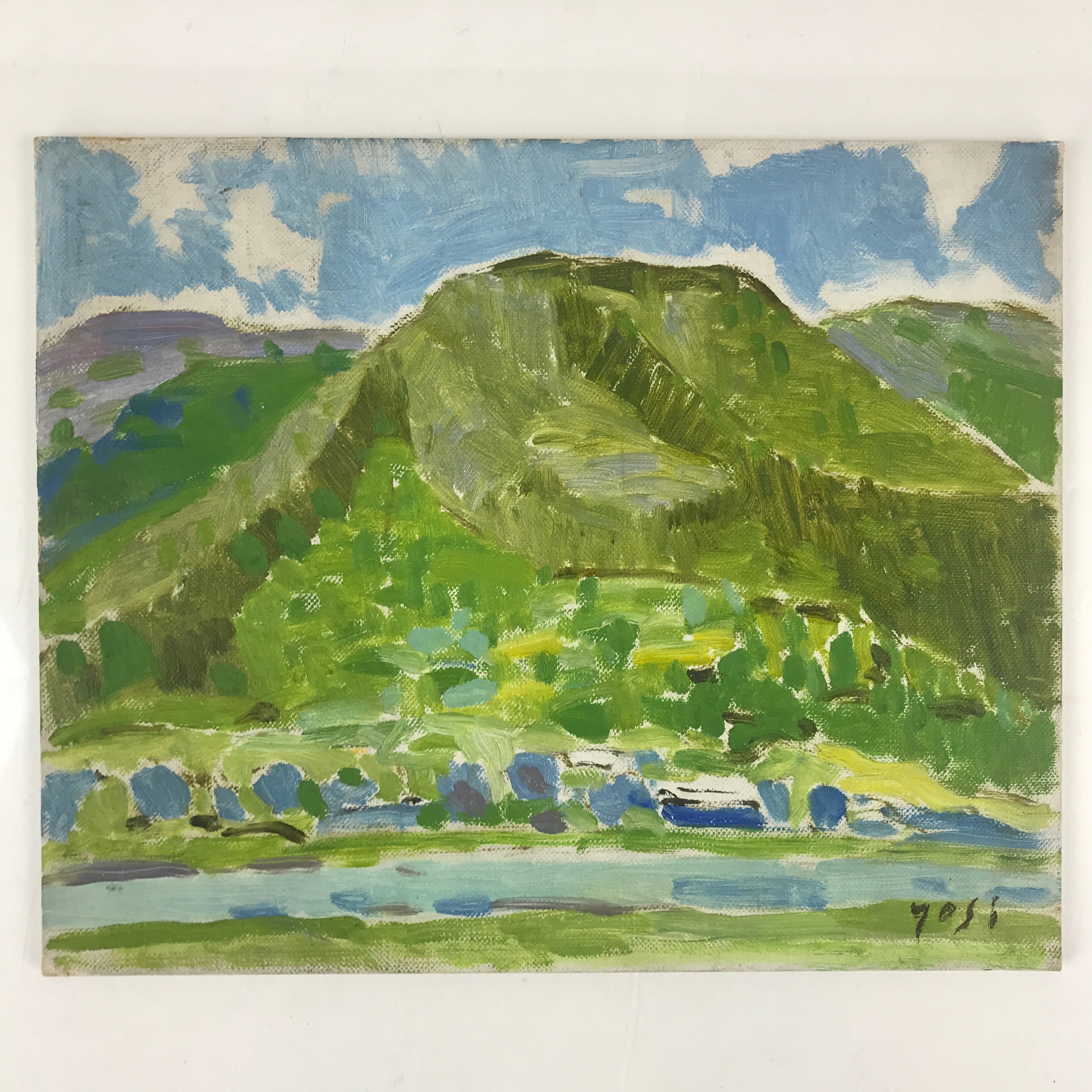 Japanese Forest Mountain Oil Painting Landscape Original Yoshihiro Hagino FL158