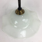 Japanese Glass Lamp Shade And Light Bulb Set Vtg White Glass JK366