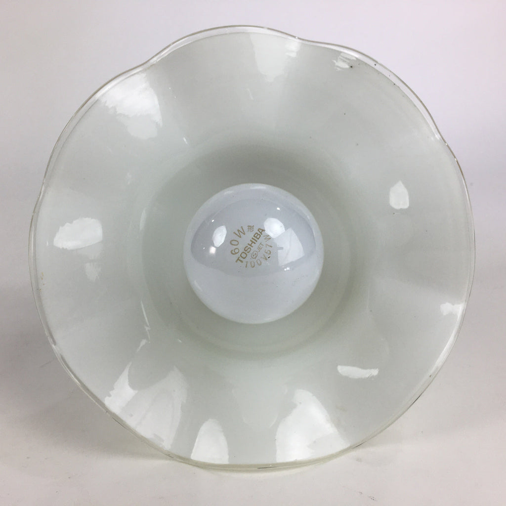 Japanese Glass Lamp Shade And Light Bulb Set Vtg White Glass JK366