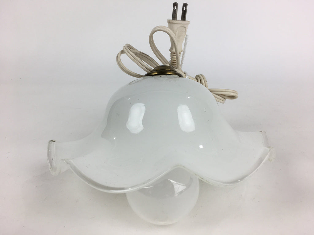 Japanese Glass Lamp Shade And Light Bulb Set Vtg White Glass JK367