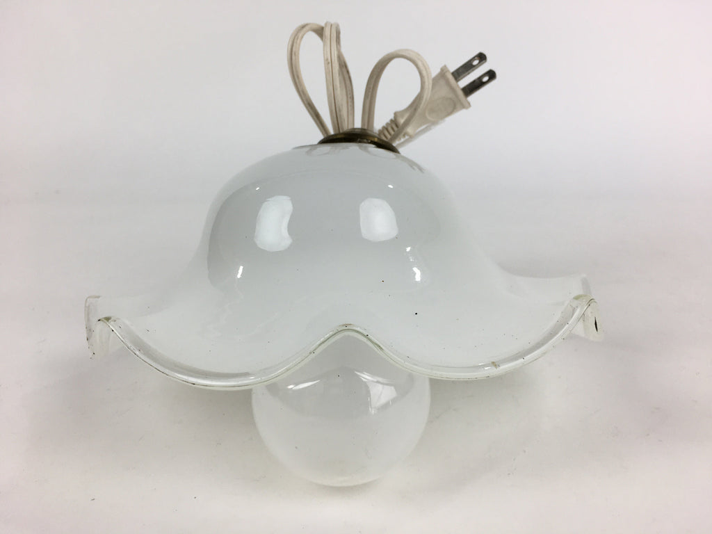 Japanese Glass Lamp Shade And Light Bulb Set Vtg White Glass JK367