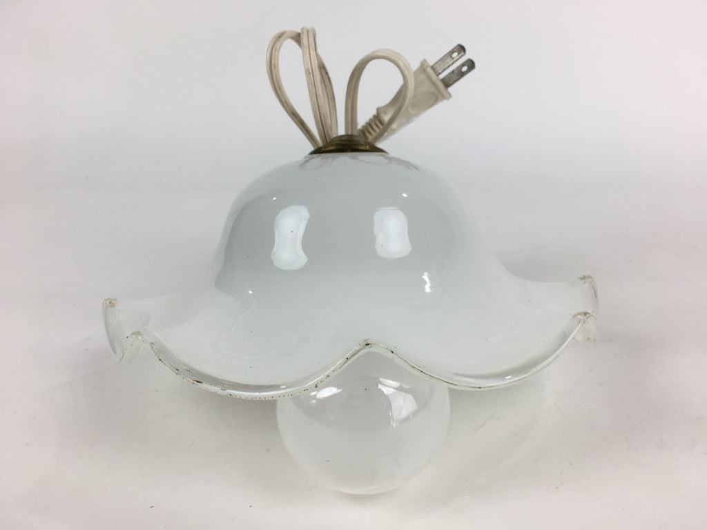 Japanese Glass Lamp Shade And Light Bulb Set Vtg White Glass JK367