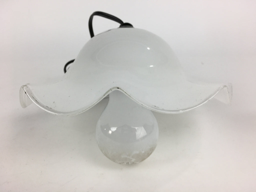 Japanese Glass Lamp Shade And Light Bulb Set Vtg White Glass JK368