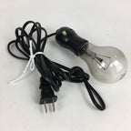Japanese Glass Light Bulb Cover And Light Bulb Set Vtg Birds JK365