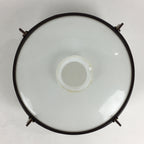 Japanese Glass Light Bulb Cover And Light Bulb Set Vtg Birds JK365
