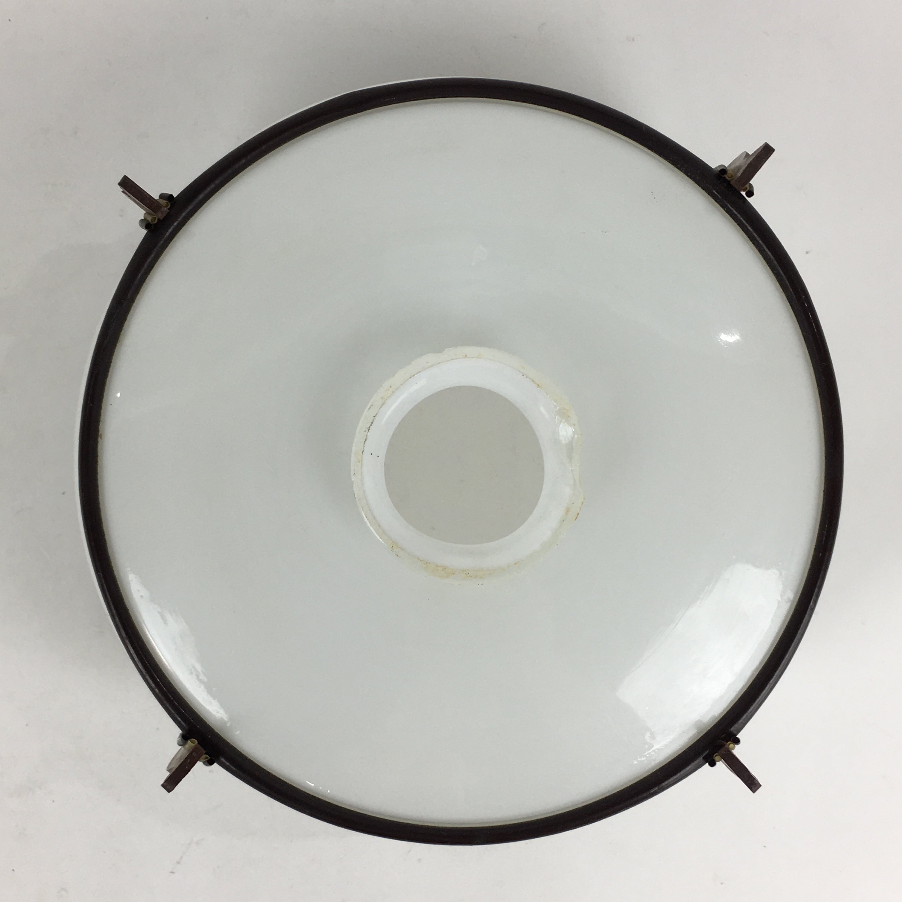 Japanese Glass Light Bulb Cover And Light Bulb Set Vtg Birds JK365