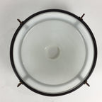 Japanese Glass Light Bulb Cover And Light Bulb Set Vtg Birds JK365