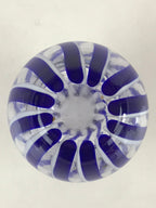 Japanese Glass Sake Bottle Vtg Clear Glass Blue Stripes Summer Reisyu Tokkuri TS