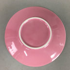 Japanese Glass Teacup Saucer Set Vtg Sakura Yunomi Coaster Cold Tea Sencha QT77