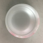 Japanese Glass Teacup Saucer Set Vtg Sakura Yunomi Coaster Cold Tea Sencha QT77